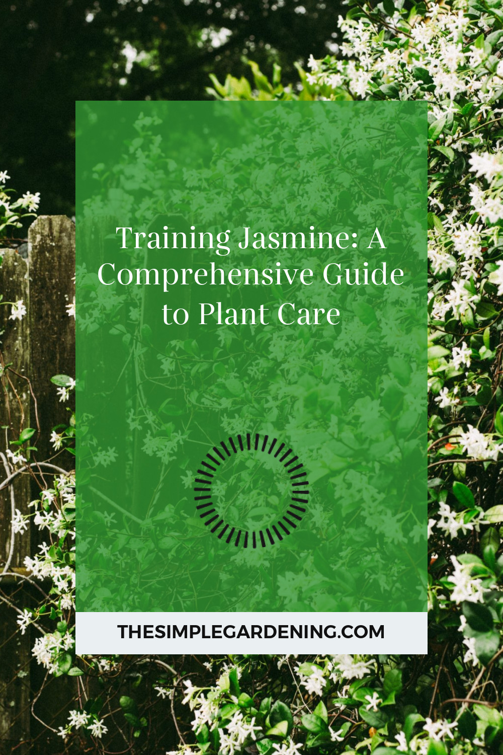 Training Jasmine: A Comprehensive Guide to Plant Care